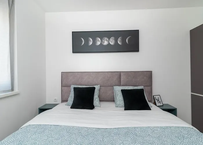 Apartman Cviki *